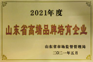 山東省高端品牌培育企業